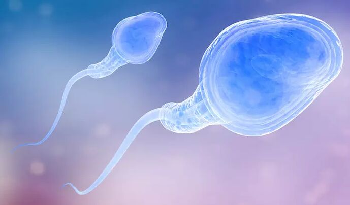 Сперматозоїди можуть бути присутніми у предеякуляті чоловіка. 