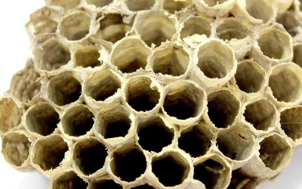 бджолиний клей для підвищення потенції